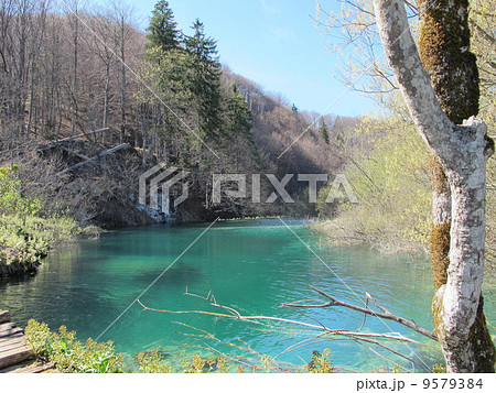 プリトヴィッツェ湖群国立公園(Plitvice Lakes National Park) プリトヴィッツェ湖群国立公園(Plitvice Lakes National Park) 9579384