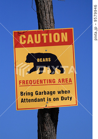 Caution road sign Caution road sign 9579946