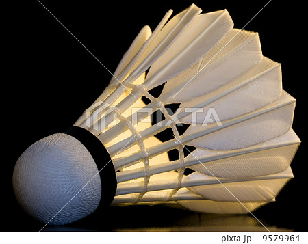 Badminton shuttlecock 9579964