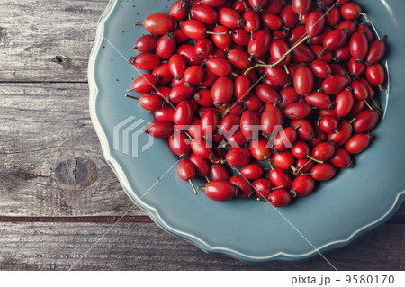 Plate of briar 9580170
