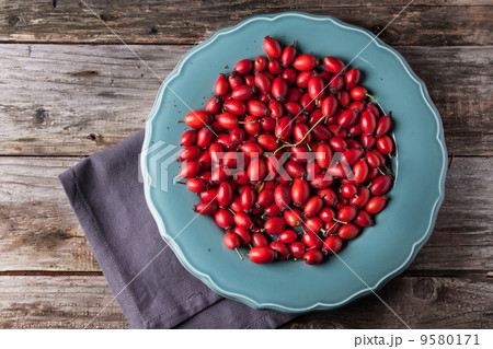 Plate of briar 9580171