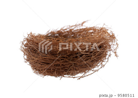 Nest isolated on white 9580511