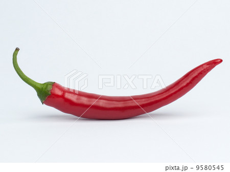 Chili pepper isolated with clipping path 9580545