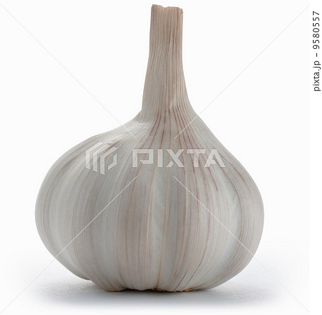 Garlic bulb isolated on white with clipping path 9580557