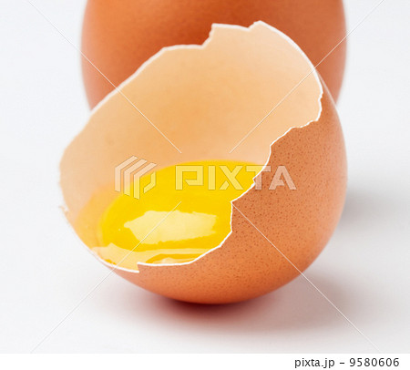 Egg 9580606