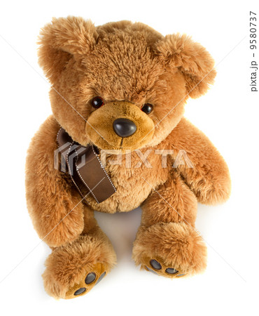 Toy teddy bear 9580737
