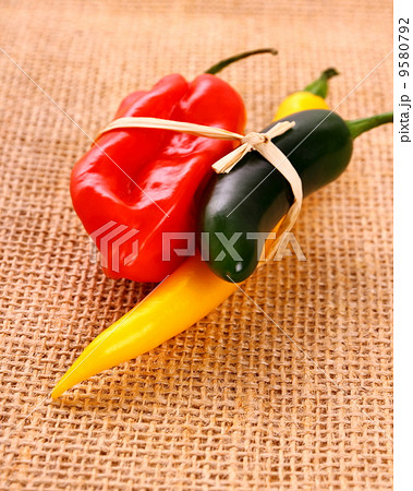 Bundle of Hot pepper varieties of jute background 9580792