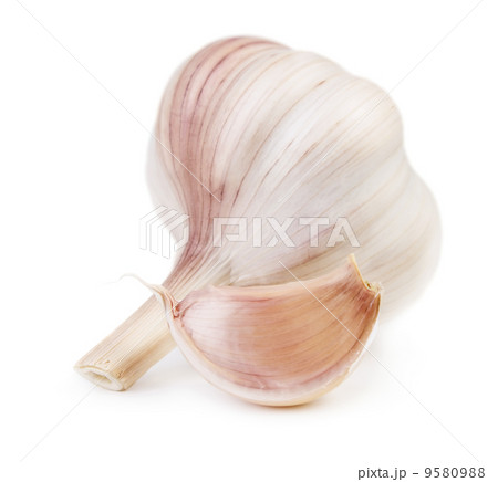 Garlic 9580988