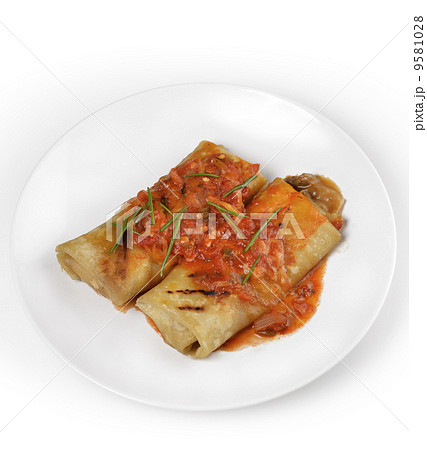 Mexican Burritos Mexican Burritos 9581028