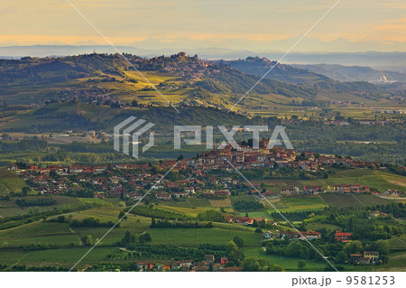 Green hills and vineyards in Piedmont, Italy. Green hills and vineyards in Piedmont, Italy. 9581253
