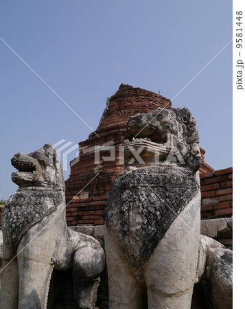 アユタヤ   ワットタムミガラートの狛犬 9581448
