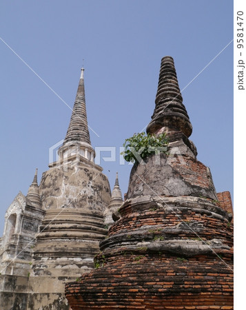 世界遺産アユタヤ    ワットプラシーサンペットの王墓 9581470