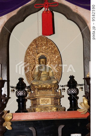 鹿教湯温泉の五台橋と氷灯ろう 鹿教湯温泉の五台橋と氷灯ろう 9582590