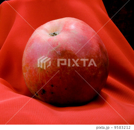 apple apple 9583212