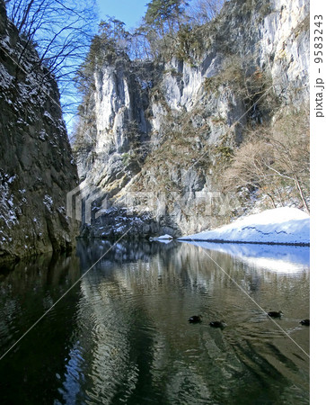 岩手県一関市のげいび渓（壮夫岩） 9583243
