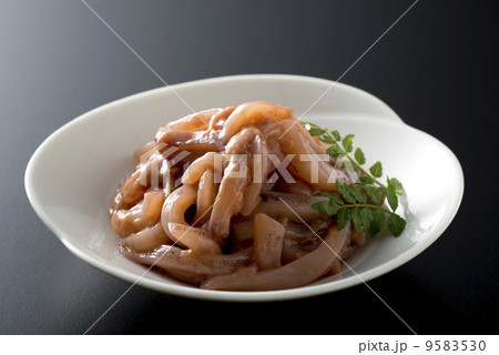 塩辛 塩辛 9583530