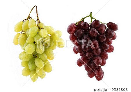Grape isolated on white 9585308