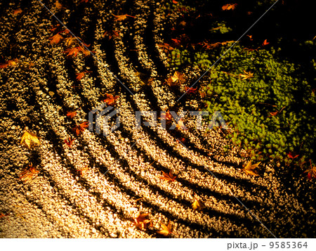 南禅寺 - 紅葉ライトアップ 9585364