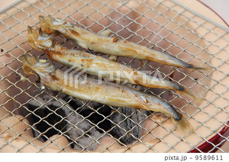 子持ちシシャモの炭火焼き 9589611