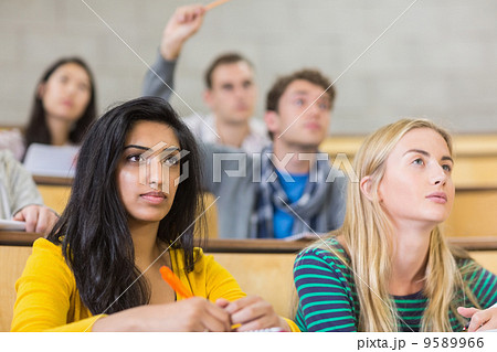 Concentrating students at the lecture hall Concentrating students at the lecture hall 9589966