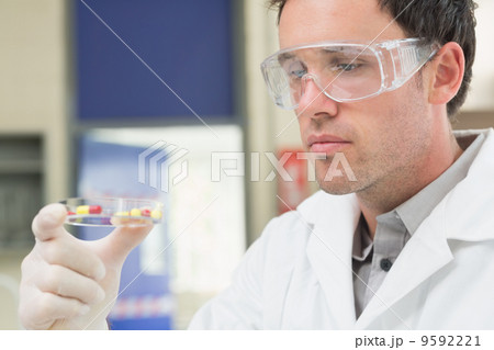 Male scientist analyzing pills in the laboratory 9592221