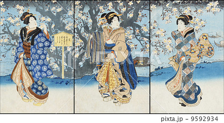 江戸美人画 9592934