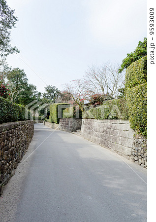 知覧の武家屋敷 9593009