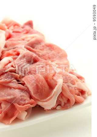 豚肉切り落とし 9593049