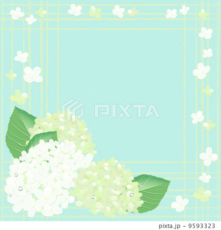 白とライムグリーンのあじさい背景のイラスト素材