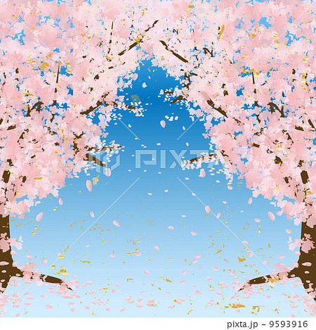 桜のトンネル 青空のイラスト素材