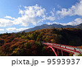 東沢大橋の紅葉 9593937