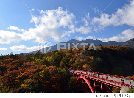 東沢大橋の紅葉 東沢大橋の紅葉 9593937