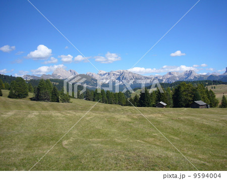 アルペ・ディ・シウジ(Alpe di Siusi) 9594004