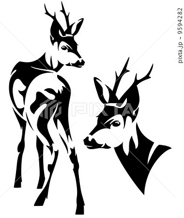 Elegant Roe Deer Capreolus Capreolus Black Stock Illustration