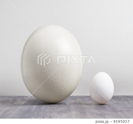 Ostrich egg and chicken egg on black table 9595057