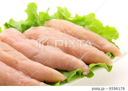 鶏肉　ささみ 9596176