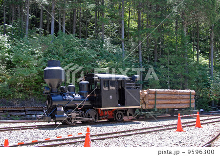 赤沢森林鉄道 ボールドウィン蒸気機関車 赤沢森林鉄道 ボールドウィン蒸気機関車 9596300