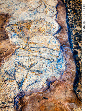 Floor mosaic 9596416