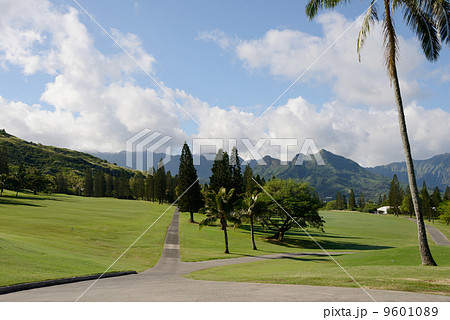 アメリカ　ハワイ　ミッドパシフィックゴルフ 9601089