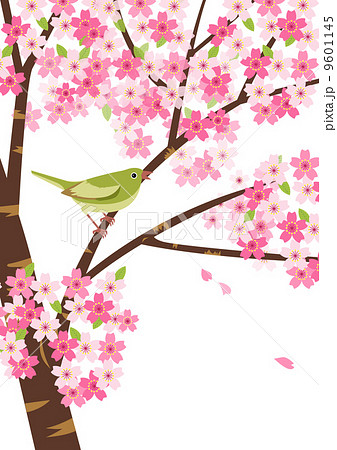 桜と鶯のイラスト素材