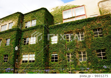 アメリカ　ロサンゼルス　UCLA 9601275