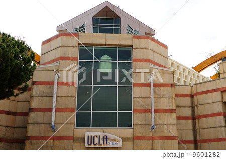 アメリカ　ロサンゼルス　UCLA 9601282