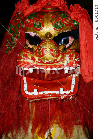 台湾 獅子舞の写真素材