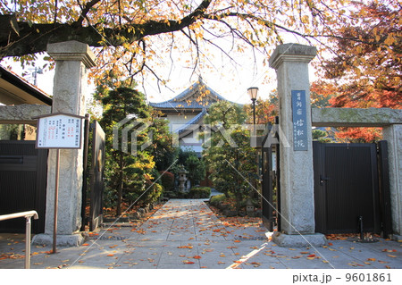 信松院 信松院 9601861