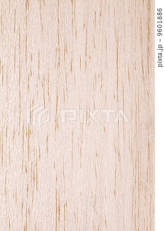 木表面素材（バルサ） 9601886
