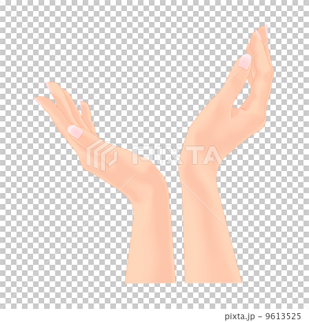 女性の両手のイラスト 9613525