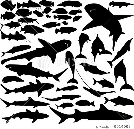 Fish vector set 9614005