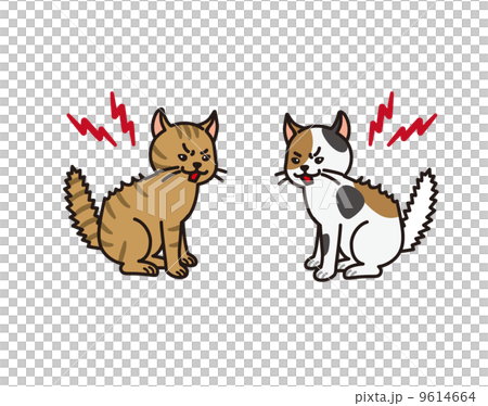 猫の喧嘩 9614664