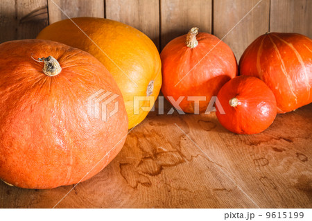 Pumpkins on grunge wooden backdrop background 9615199
