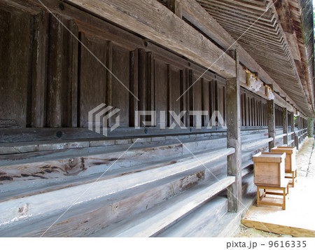 縁結びの神様／出雲大社（島根県出雲市大社町） 9616335
